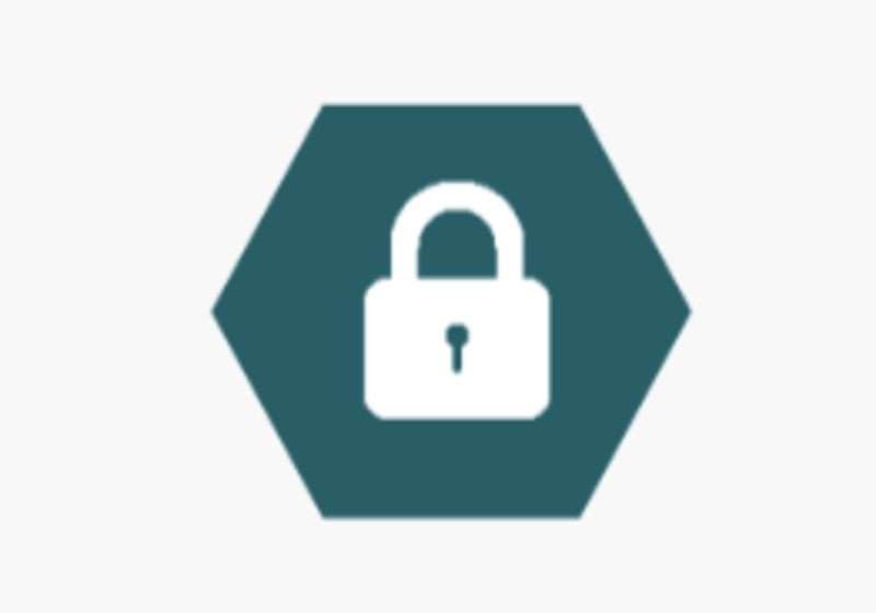 confidential icon